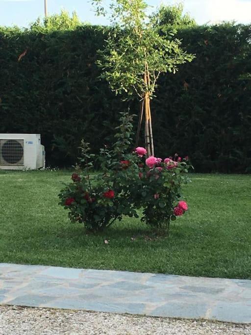 Sotto La Luna Casa In Campagna Castel Bolognese Kültér fotó