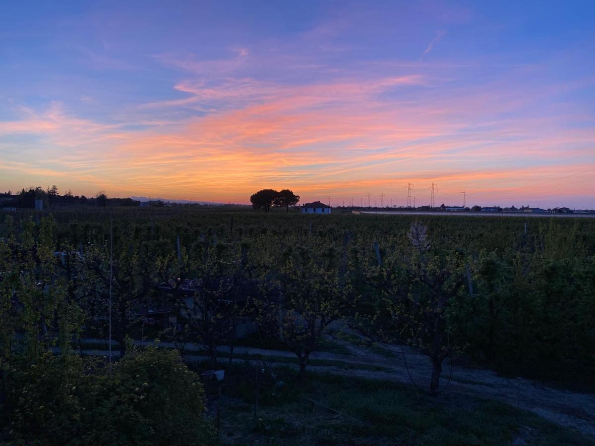 Sotto La Luna Casa In Campagna Castel Bolognese Kültér fotó